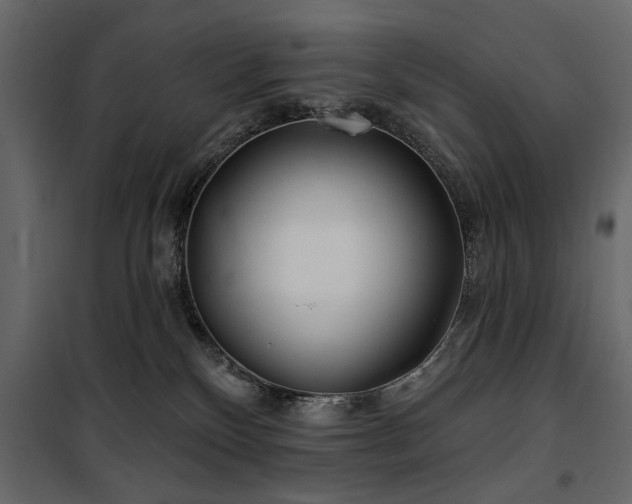 X0000100750136200806191152