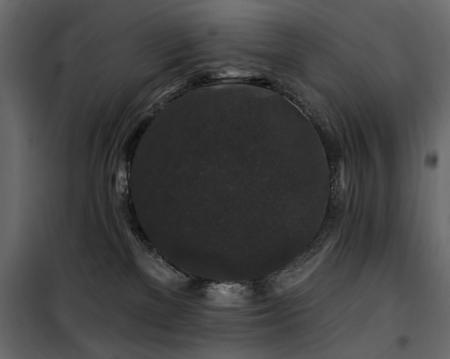 X0000100750137200806191152