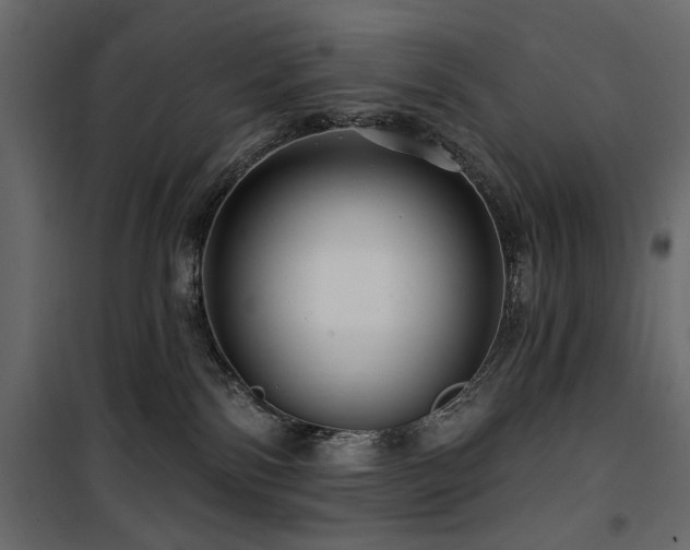 X0000100750138200806191152