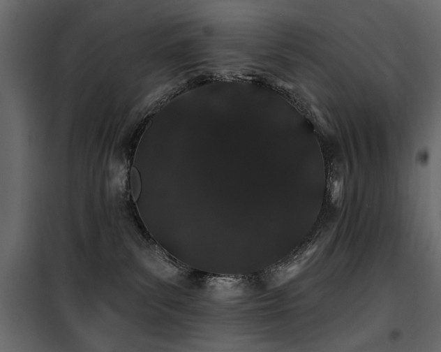 X0000100750139200806191152