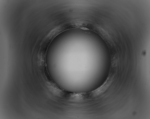 X0000100750140200806191152