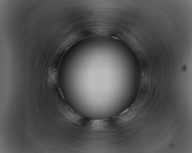 X0000100750141200806191152