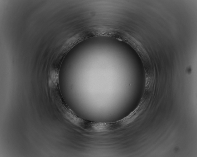 X0000100750142200806191152