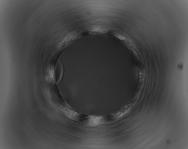 X0000100750143200806191152