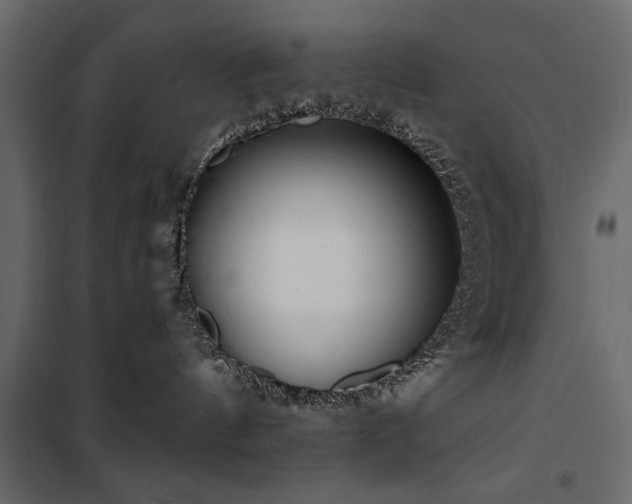 X0000100750144200806191152