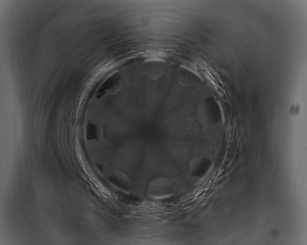 X0000100750145200806191152