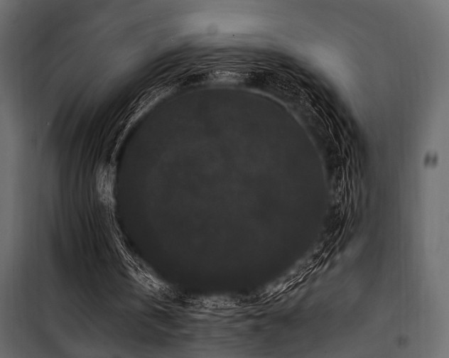 X0000100750146200806191152