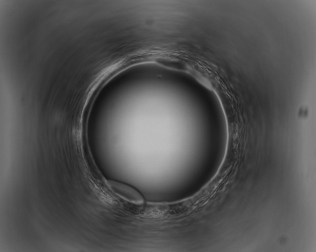 X0000100750148200806191152