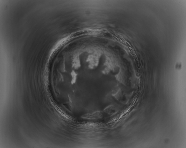 X0000100750149200806191152