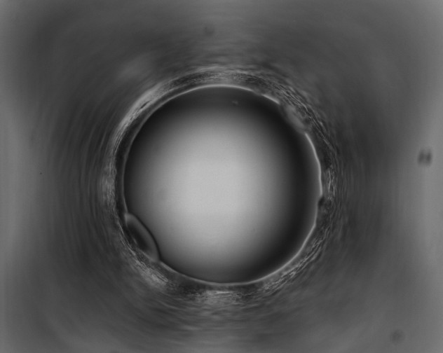 X0000100750150200806191152