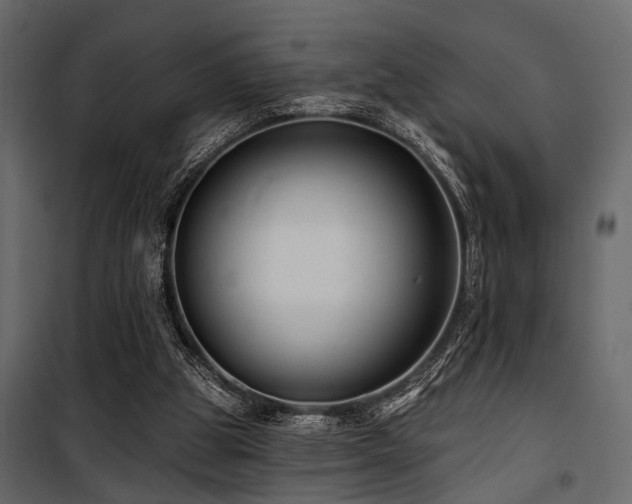 X0000100750153200806191152