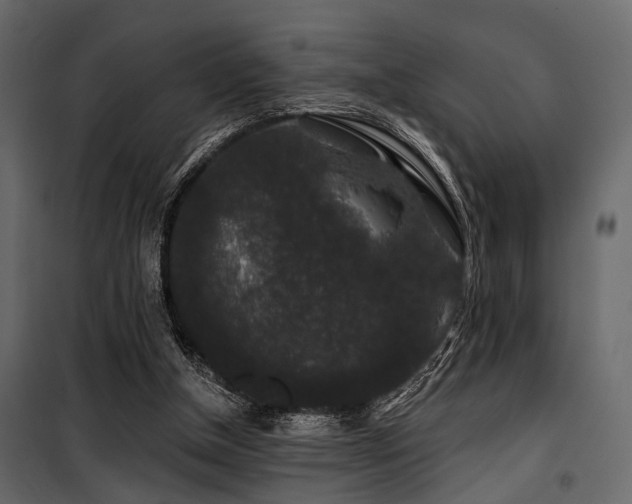 X0000100750154200806191152