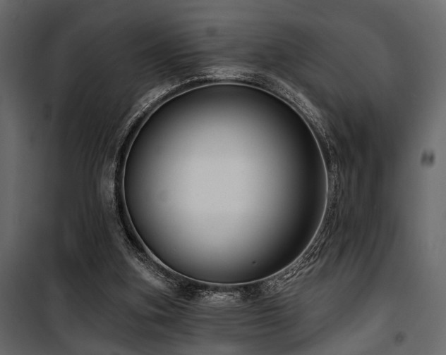 X0000100750155200806191152