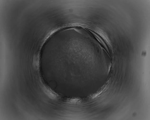 X0000100750156200806191152