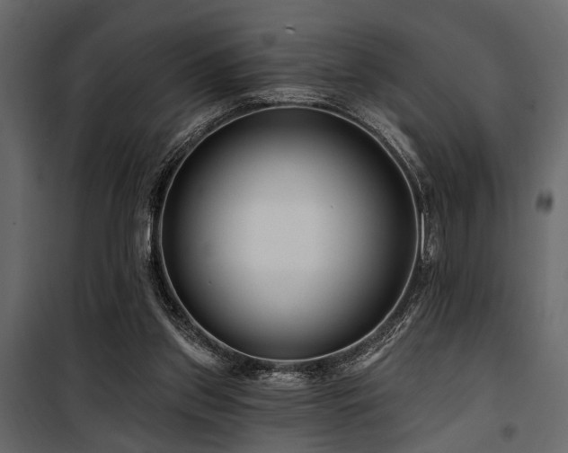 X0000100750157200806191152