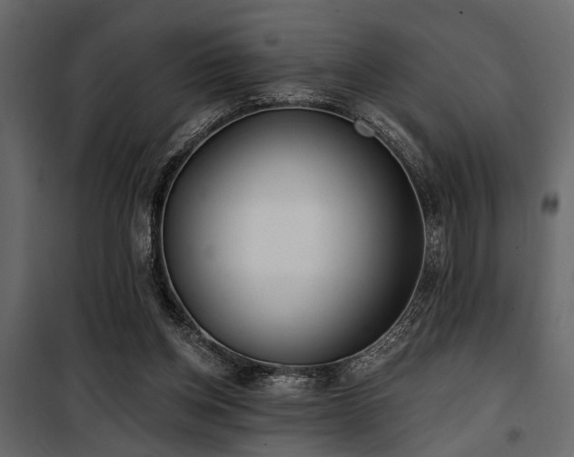 X0000100750158200806191152