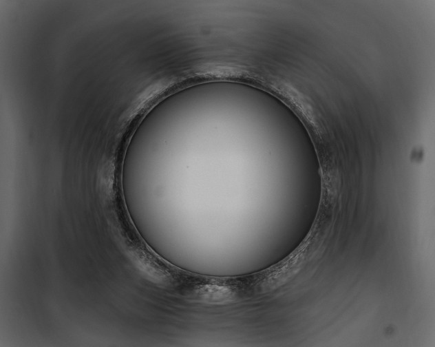 X0000100750159200806191152