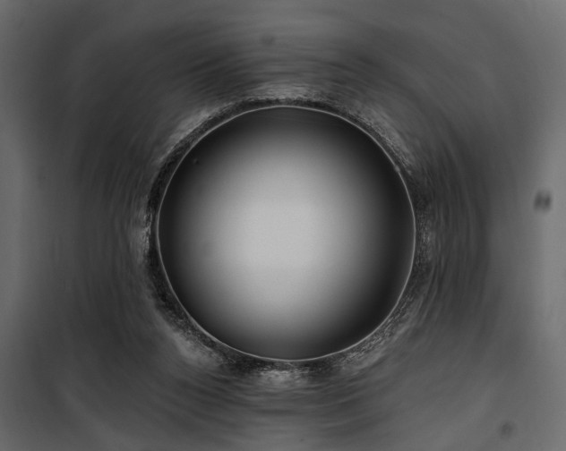 X0000100750160200806191152