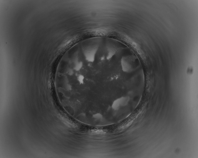 X0000100750161200806191152