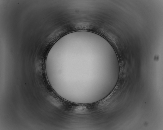 X0000100750162200806191152