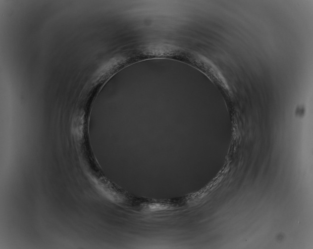 X0000100750163200806191152