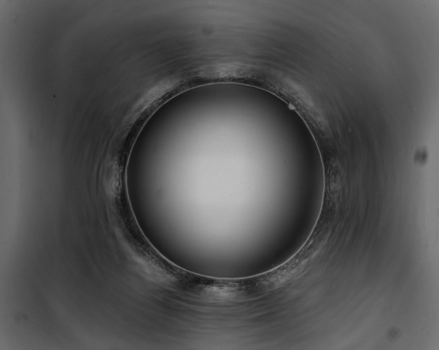 X0000100750164200806191152