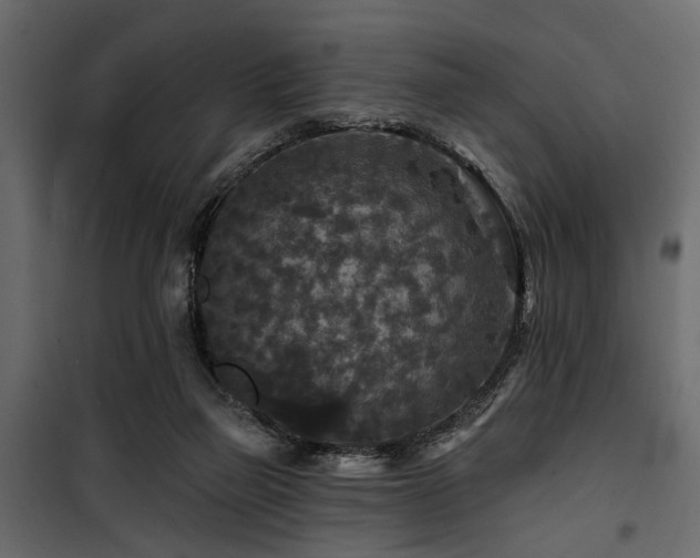 X0000100750165200806191152