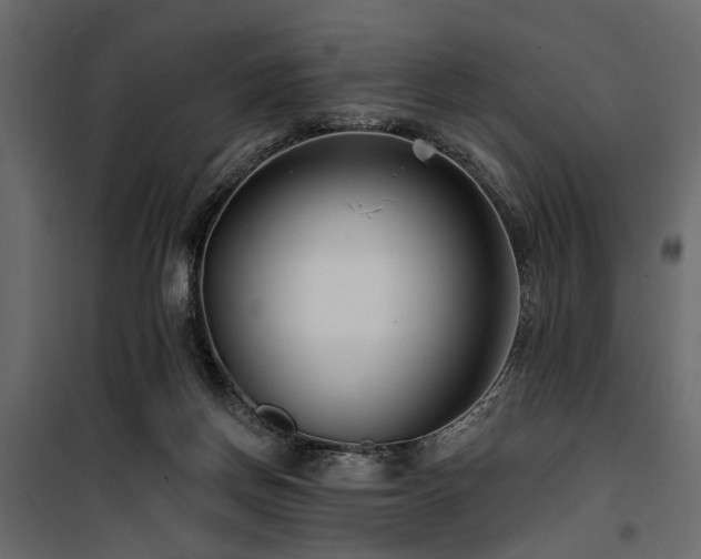 X0000100750166200806191152