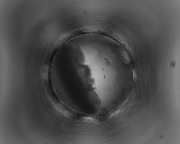 X0000100750167200806191152