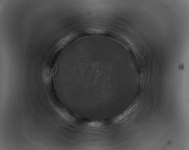 X0000100750168200806191152