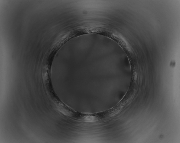 X0000100750169200806191152