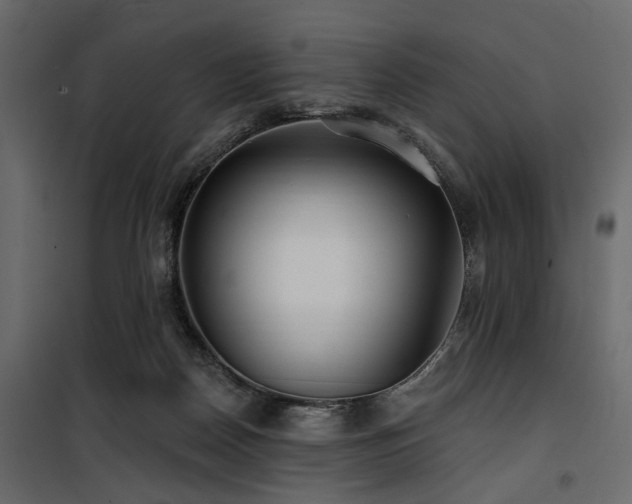 X0000100750170200806191152