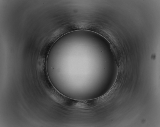 X0000100750171200806191152