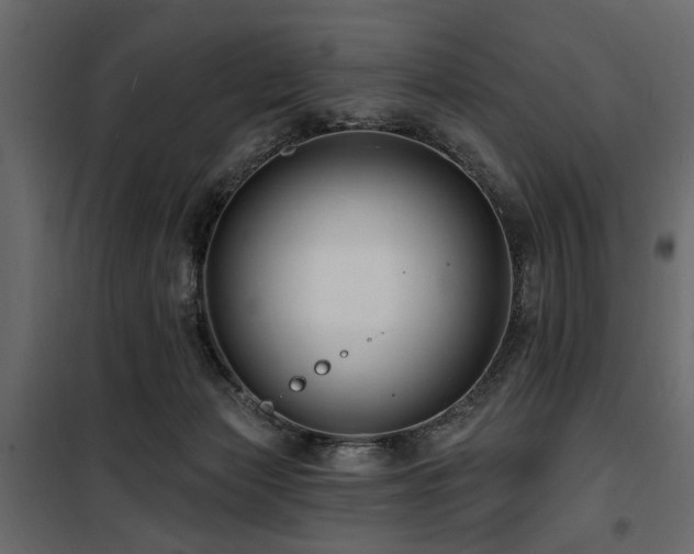 X0000100750173200806191152