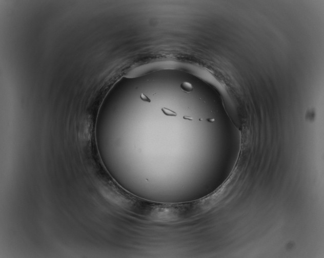 X0000100750174200806191152