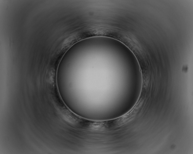 X0000100750175200806191152