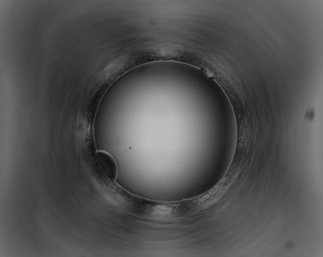 X0000100750176200806191152