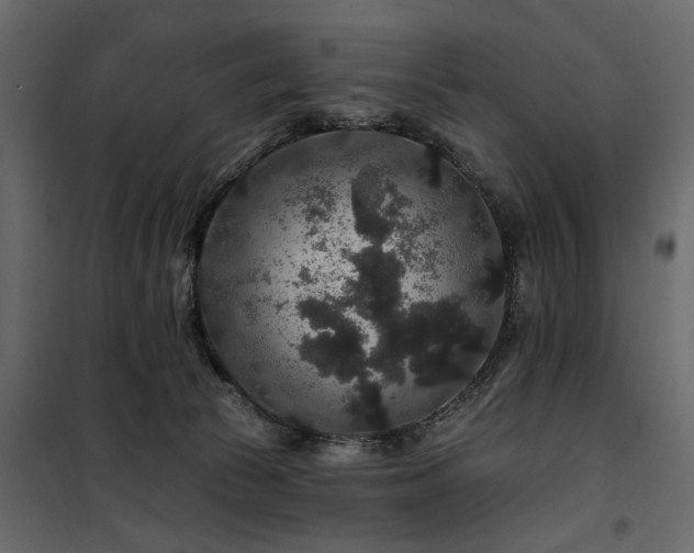 X0000100750177200806191152