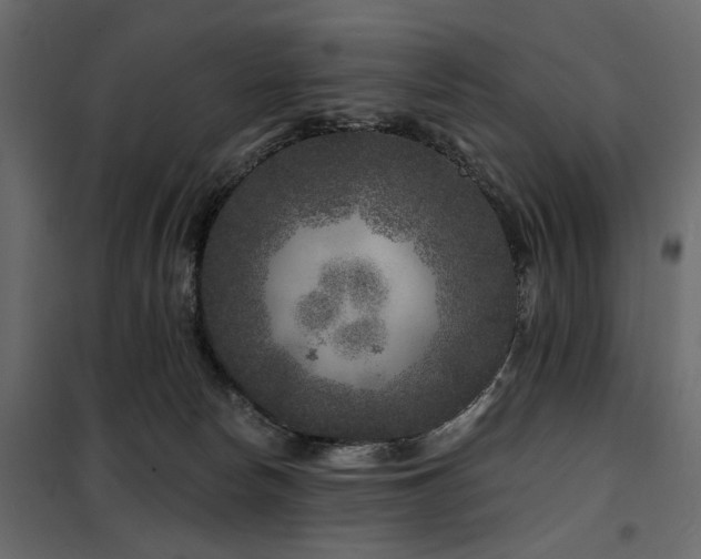 X0000100750178200806191152