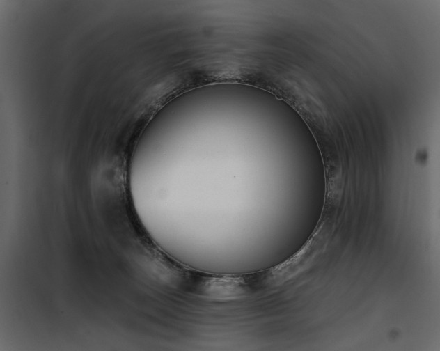 X0000100750179200806191152