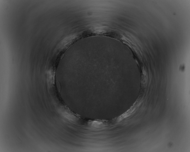 X0000100750180200806191152