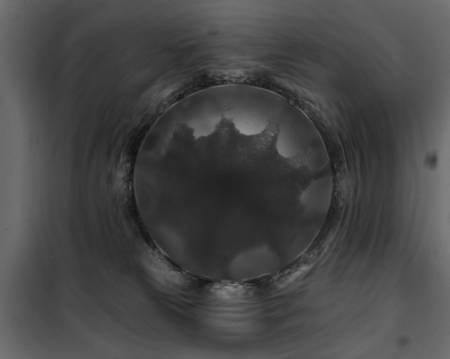 X0000100750181200806191152