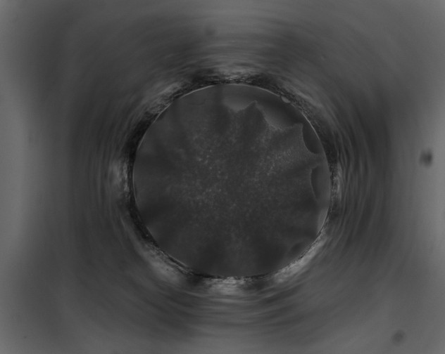 X0000100750182200806191152