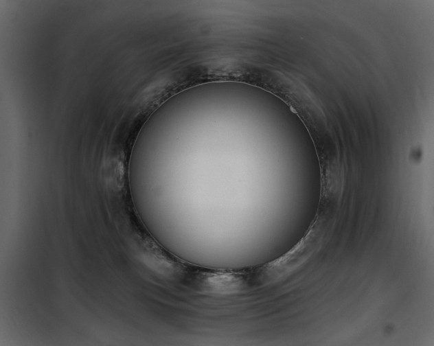 X0000100750183200806191152