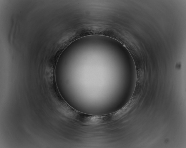 X0000100750184200806191152