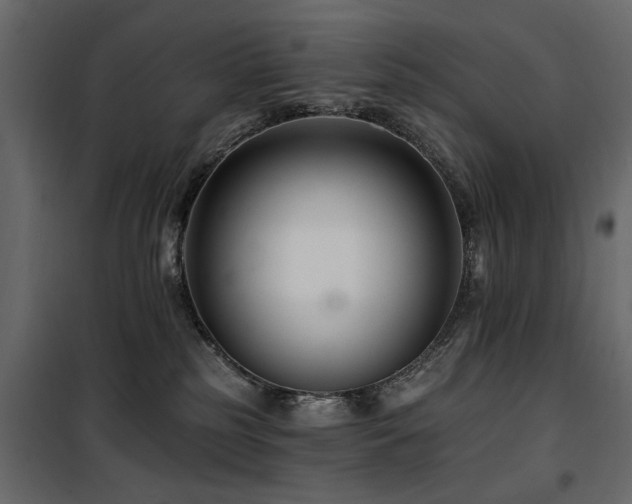 X0000100750185200806191152