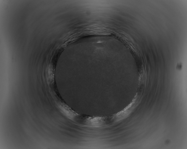 X0000100750186200806191152