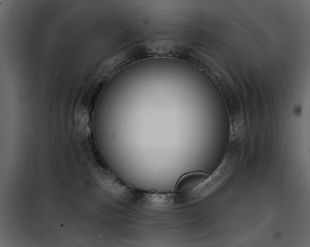 X0000100750187200806191152