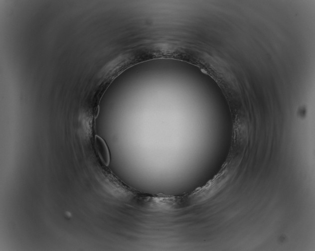 X0000100750188200806191152