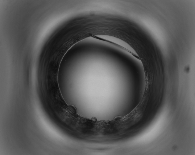 X0000100750190200806191152